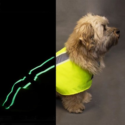 Flecta Hi-Viz dog coat